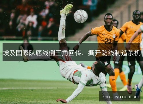 埃及国家队底线倒三角回传,撕开防线制造杀机 埃及国家队底线倒三角回传,撕开防线制造杀机